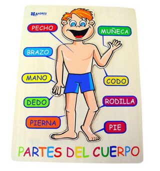 ENCAJE CUERPO HUMANO