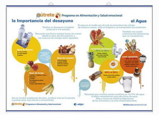 LÁMINAS DE NUTRICIÓN
