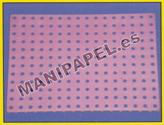 PLACA PERFORADA (6 unidades)