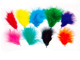 PLUMAS DE COLORES